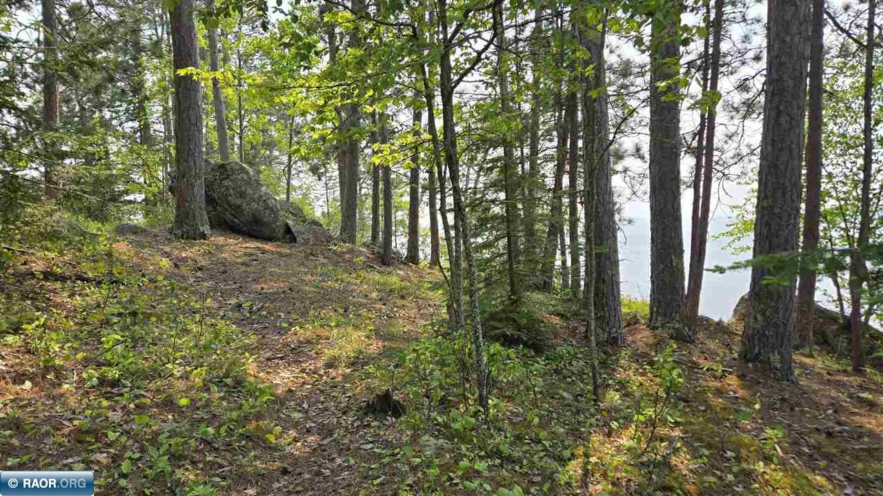11.85 Bessette Road Orr, MN 55771 - Photo 25 of 50