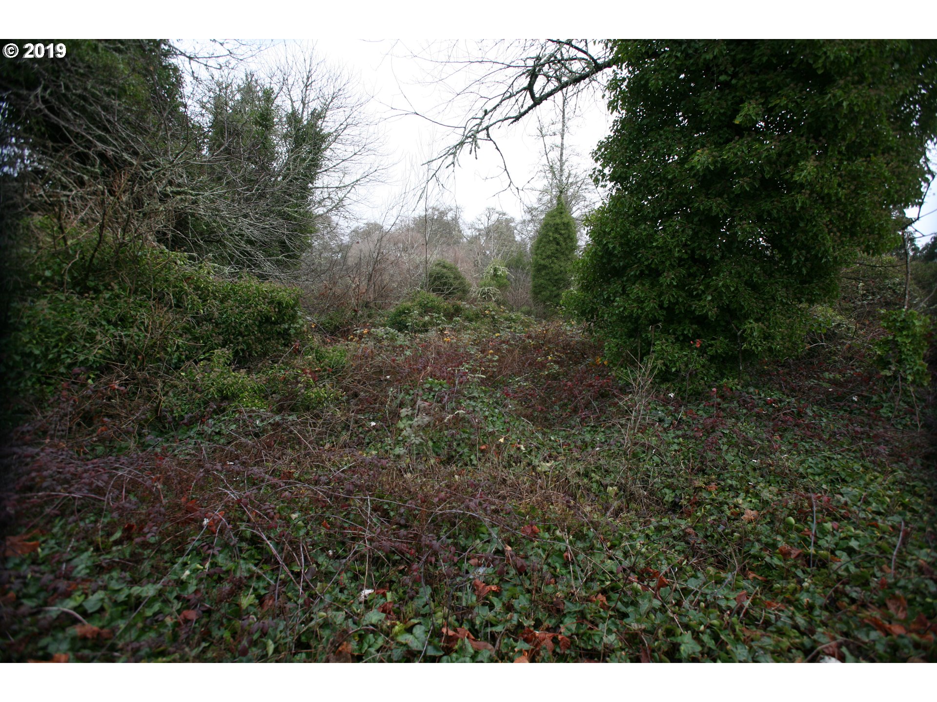 6001 Sandridge Road Long Beach, WA 98631 - Photo 3 of 4 Gallery Image 3