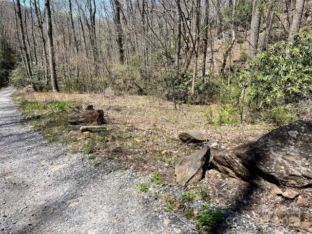 a view of a yard with trees
