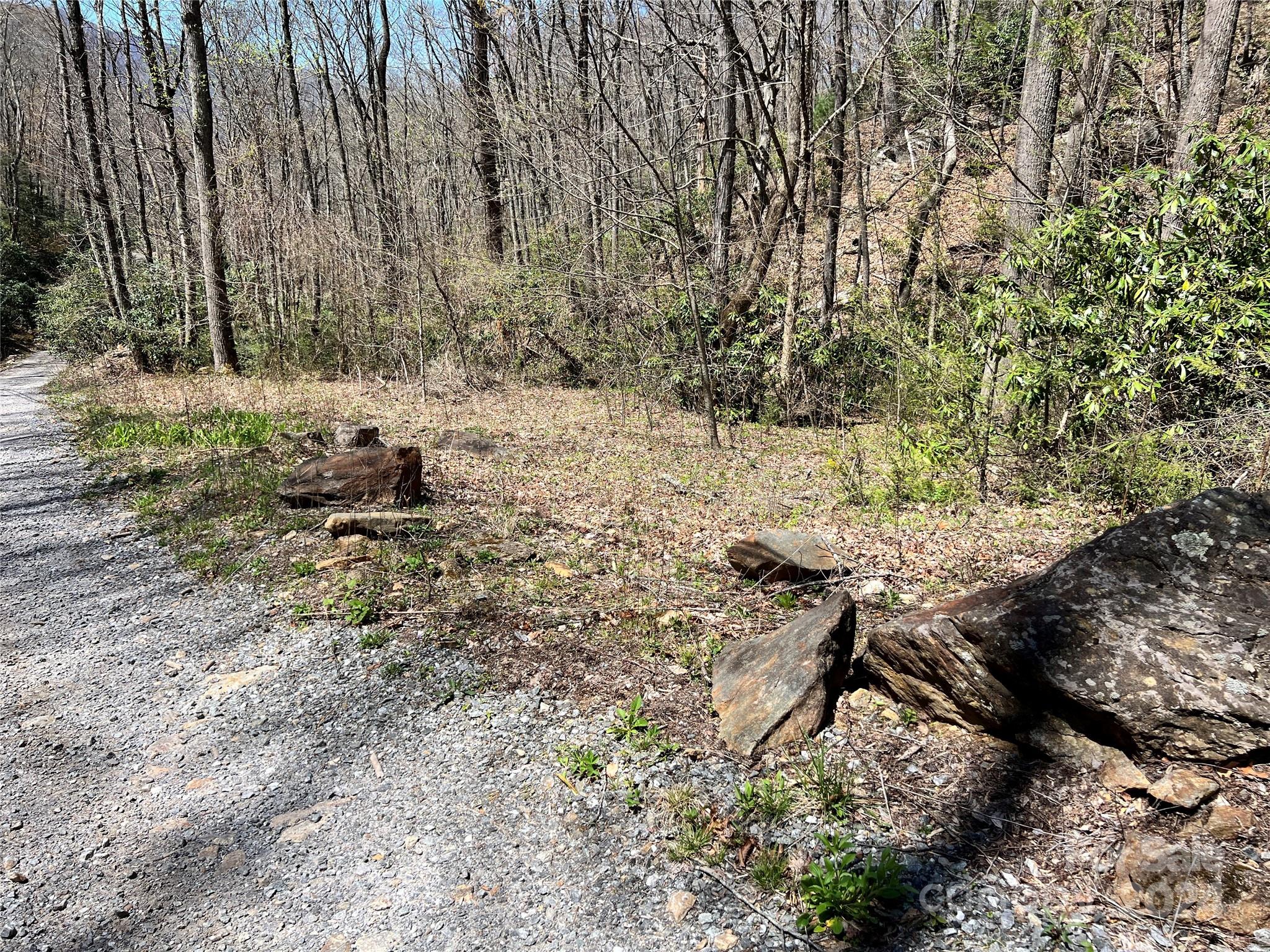 0 Pisgah Mountain Road Canton, NC 28716 - Photo 3 of 8 a view of a yard with a tree