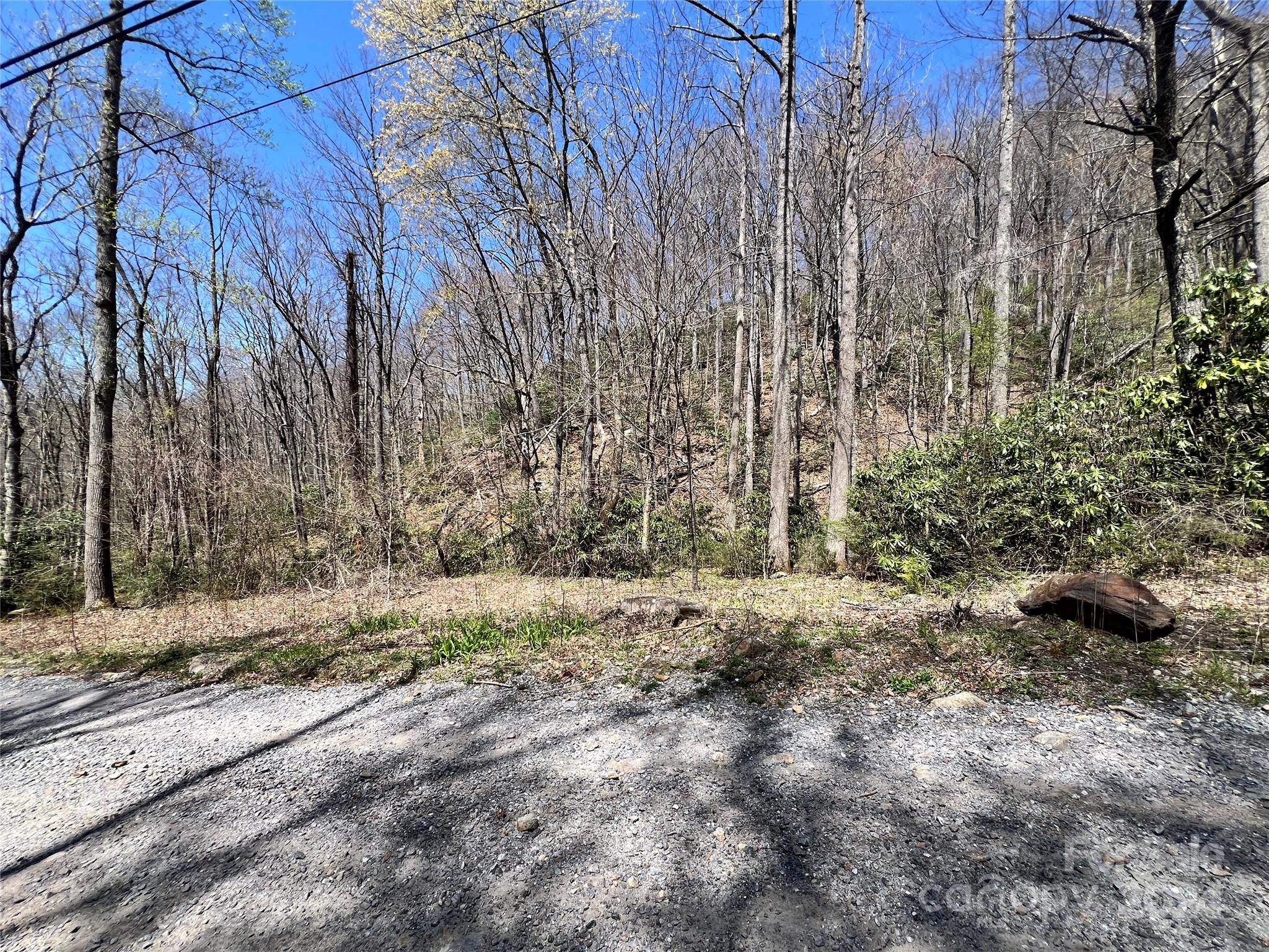 0 Pisgah Mountain Road Canton, NC 28716 - Photo 4 of 8 a view of a yard with trees