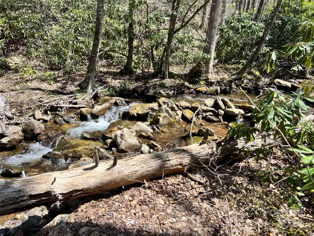 a view of outdoor space and a yard
