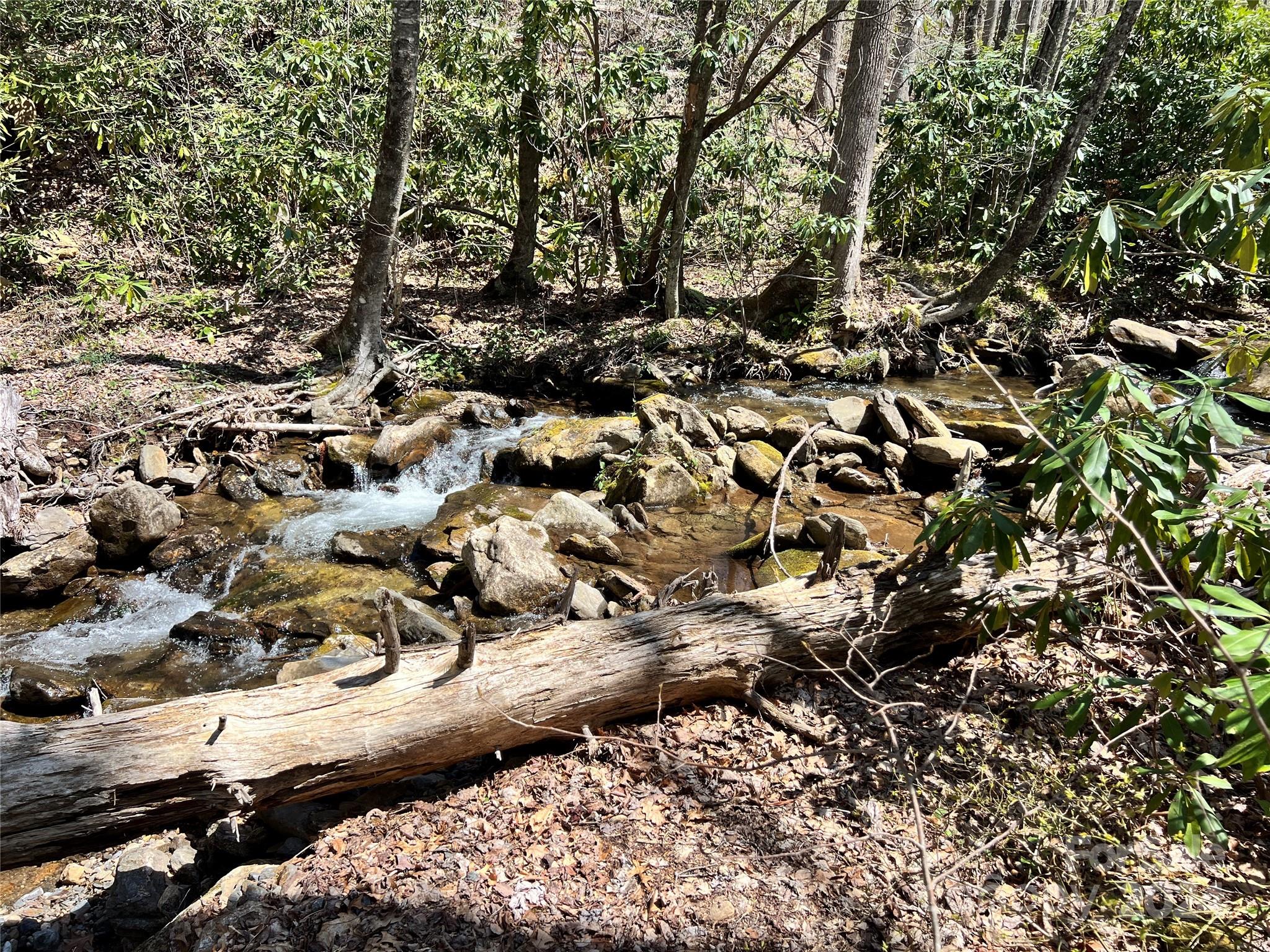 0 Pisgah Mountain Road Canton, NC 28716 - Photo 5 of 8 a view of a large tree