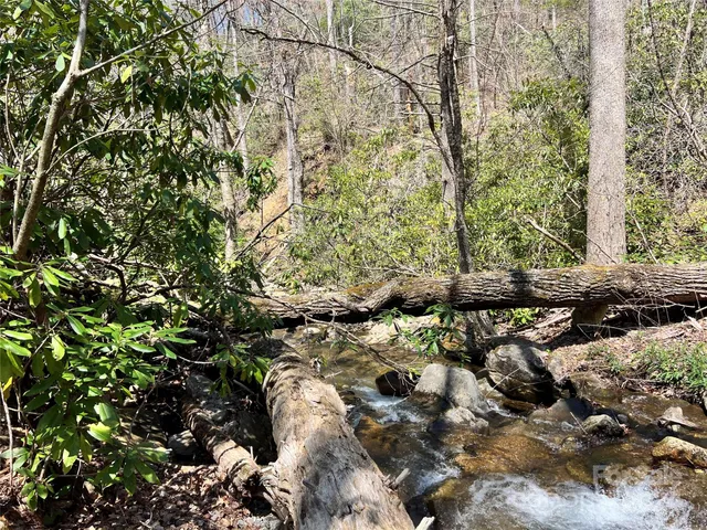 a view of bushes and pathway