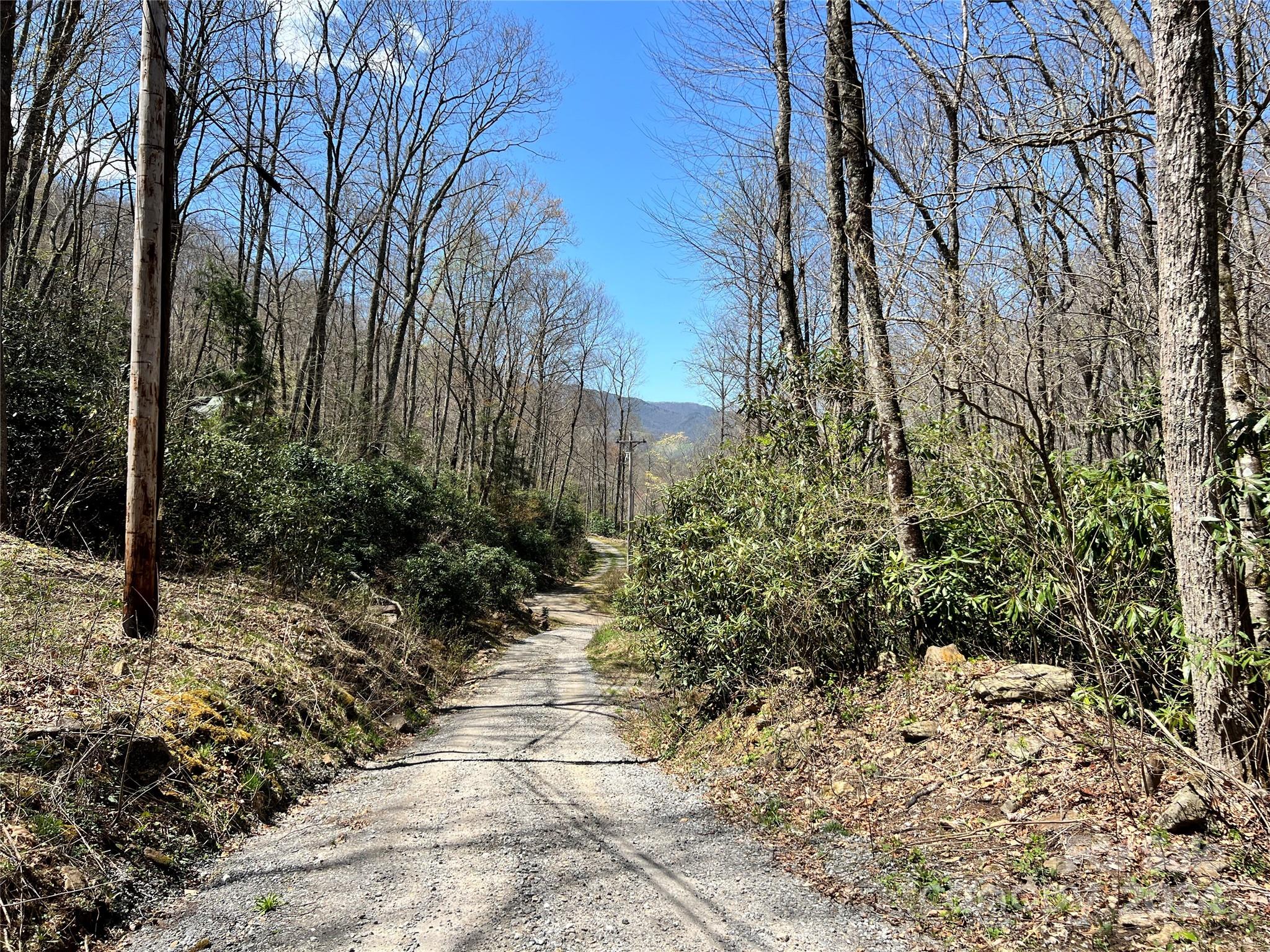 0 Pisgah Mountain Road Canton, NC 28716 - Photo 7 of 8 a view of bushes and pathway
