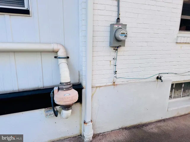 a small garden covered with tall trees