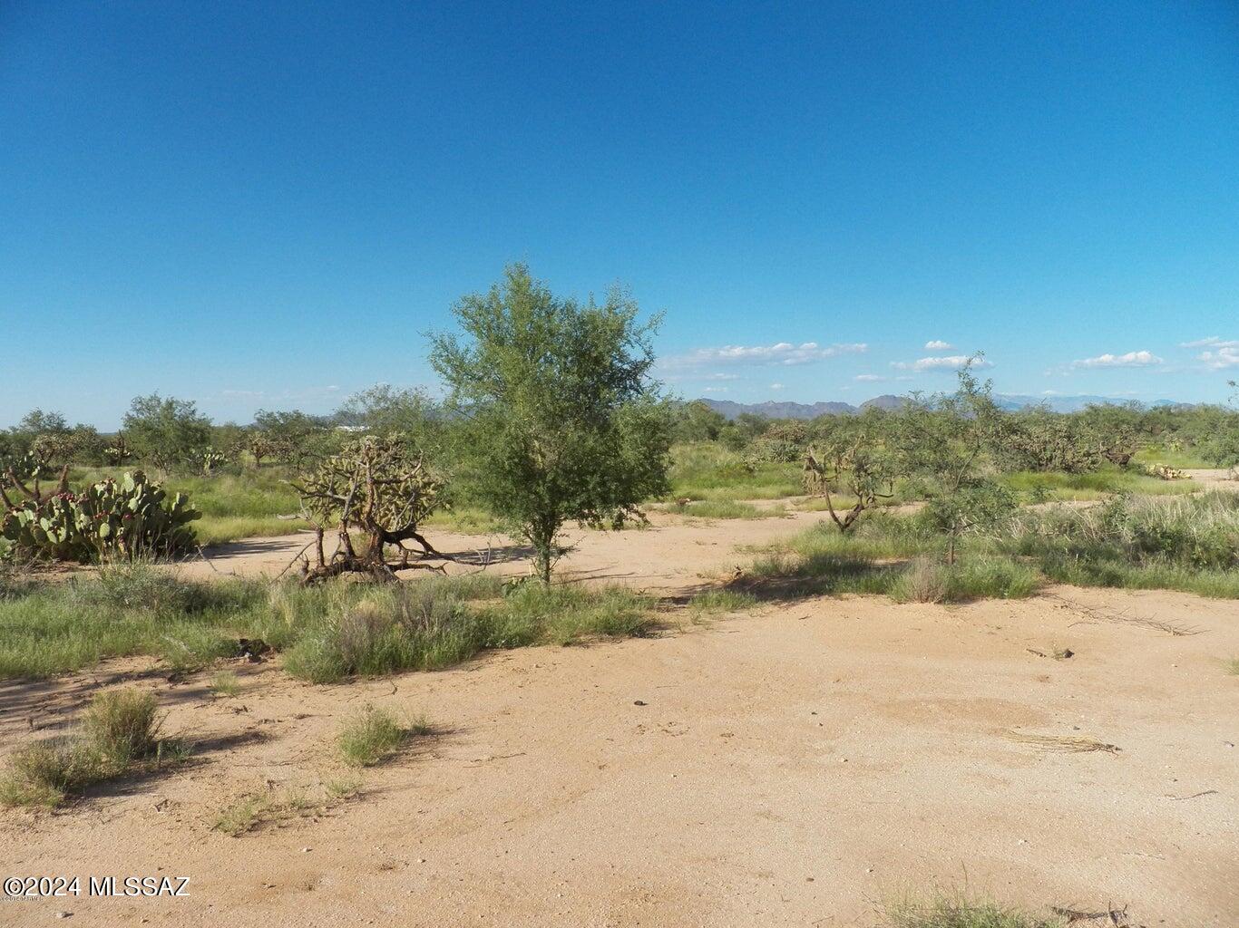 8800 South Marstellar Road Tucson, AZ 85736 - Photo 1 of 5 Gallery Image 1