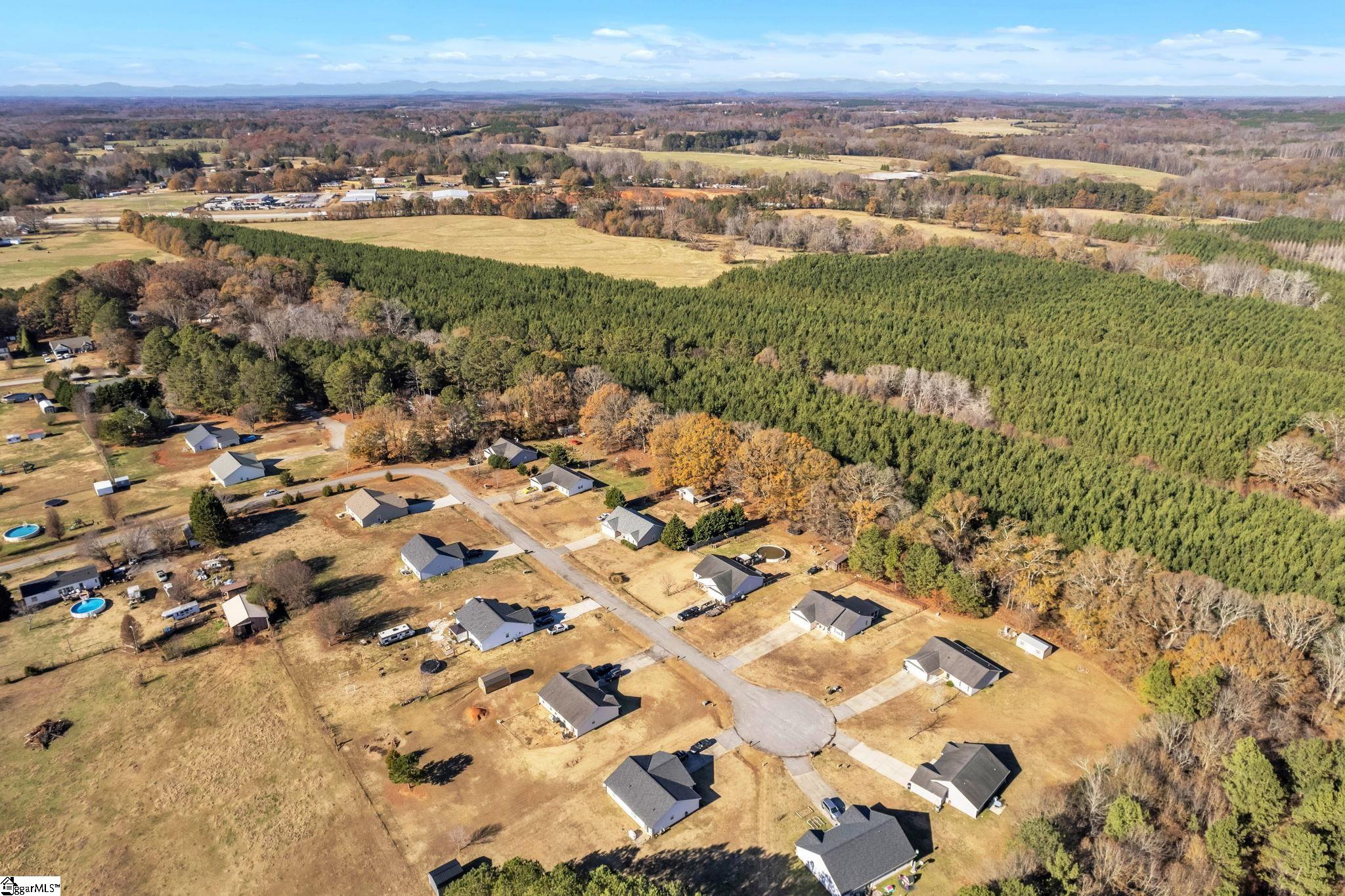 209 Turkey Trot Road Williamston, SC 29697 - Photo 28 of 32