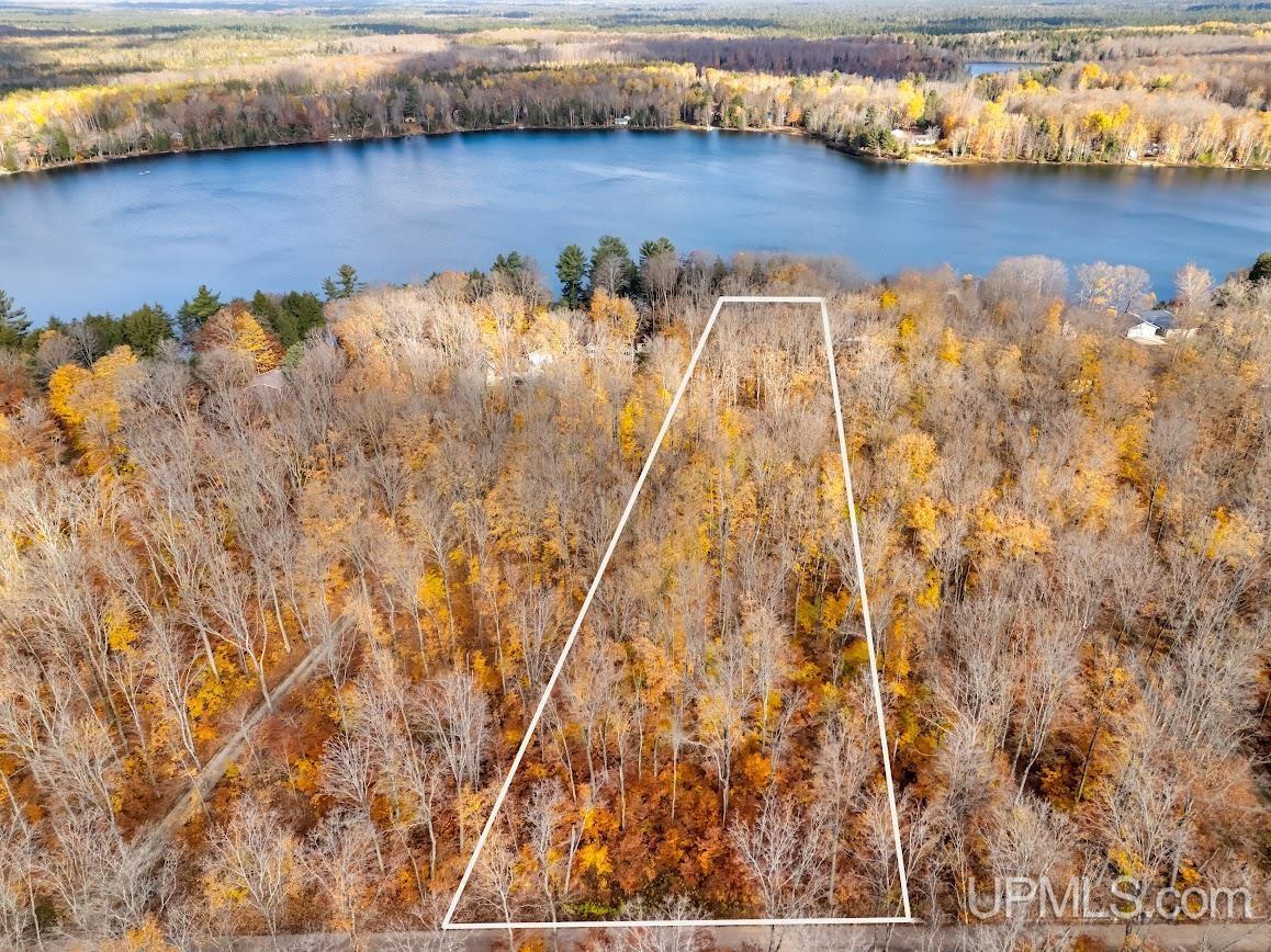 0 West Smith Lake Road Manistique, MI 49854 - Photo 1 of 5