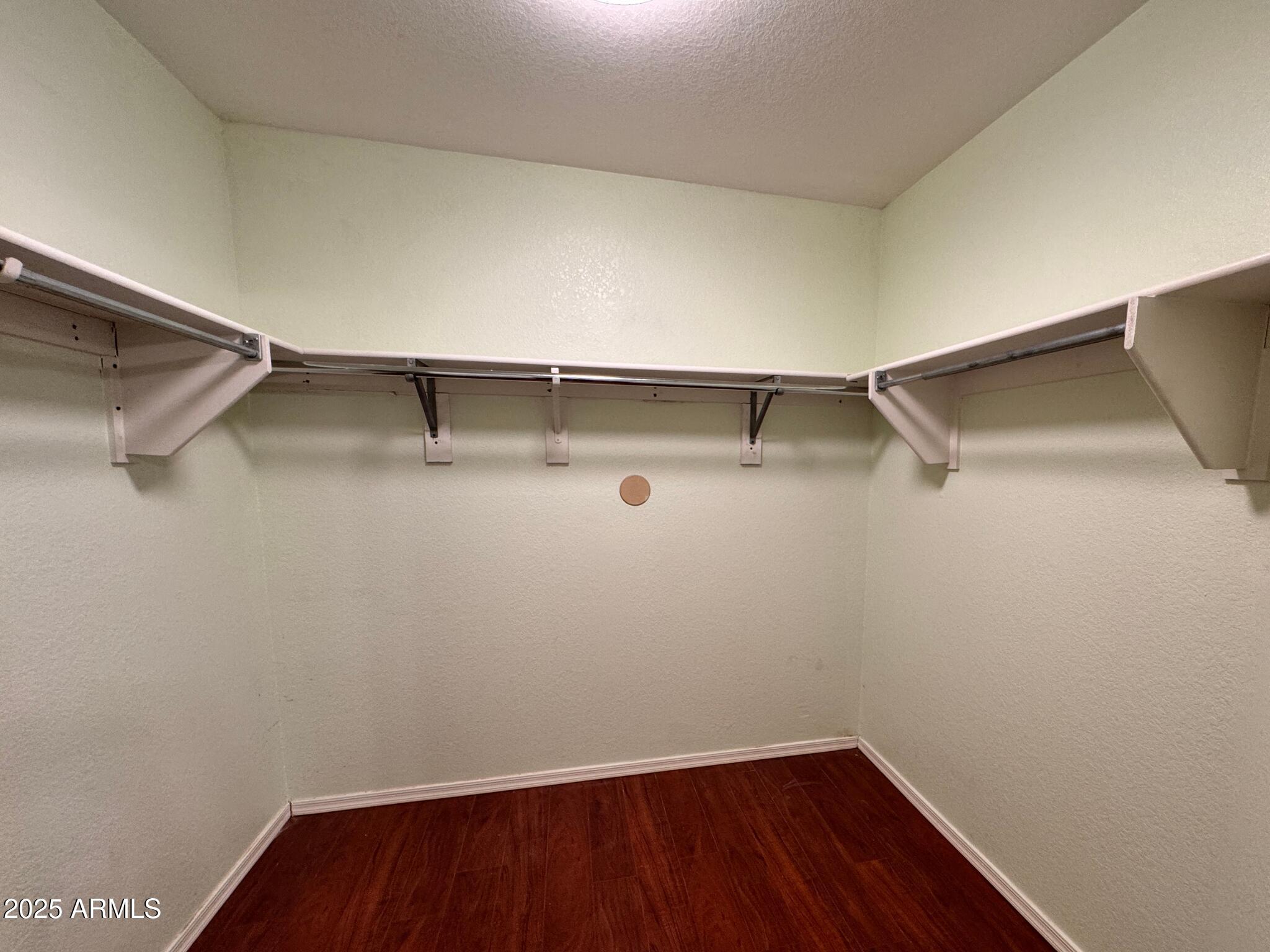 881 East Appaloosa Road Gilbert, AZ 85296 - Photo 14 of 20 M Master Closet