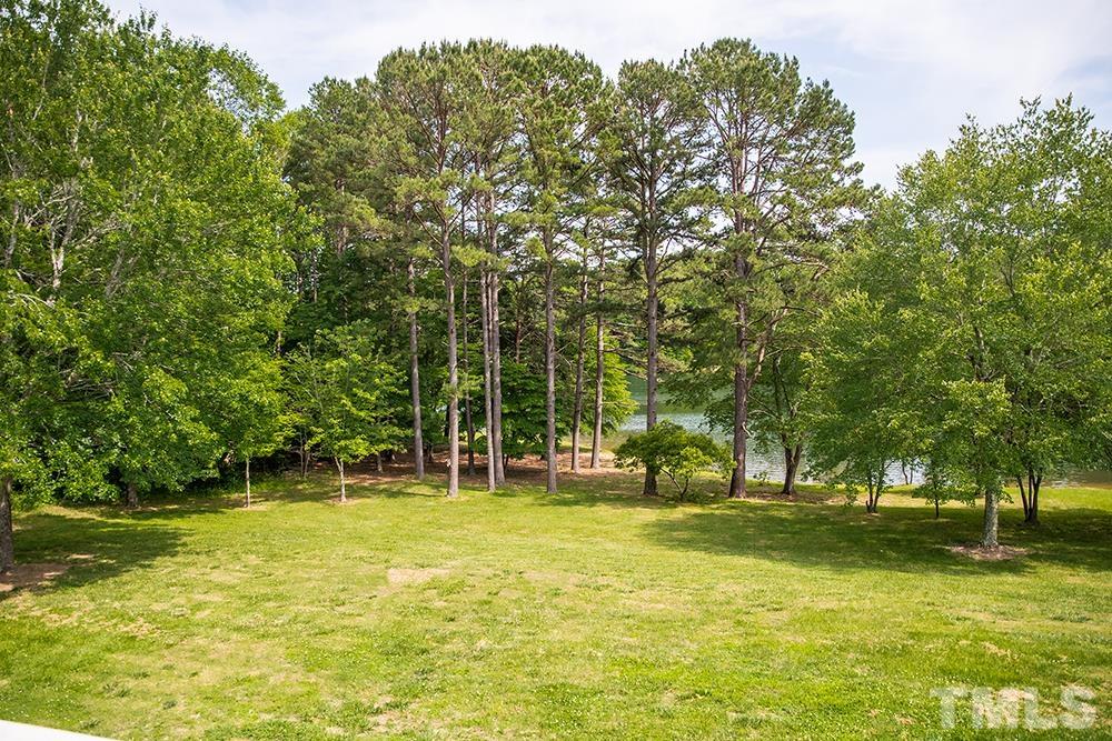 687 Ed Lester Road Roxboro, NC 27574 - Photo 61 of 63 a view of a yard with a trees