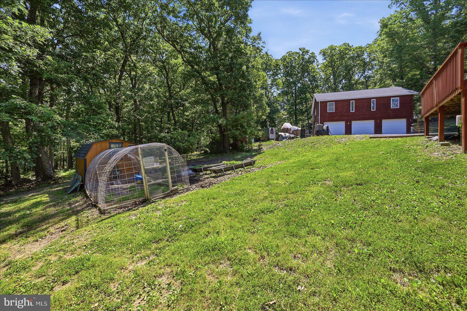 323 South Timber Ridge Road Cross Junction, VA 22625 - Photo 54 of 109 Serene hillside retreat with lush greenery.