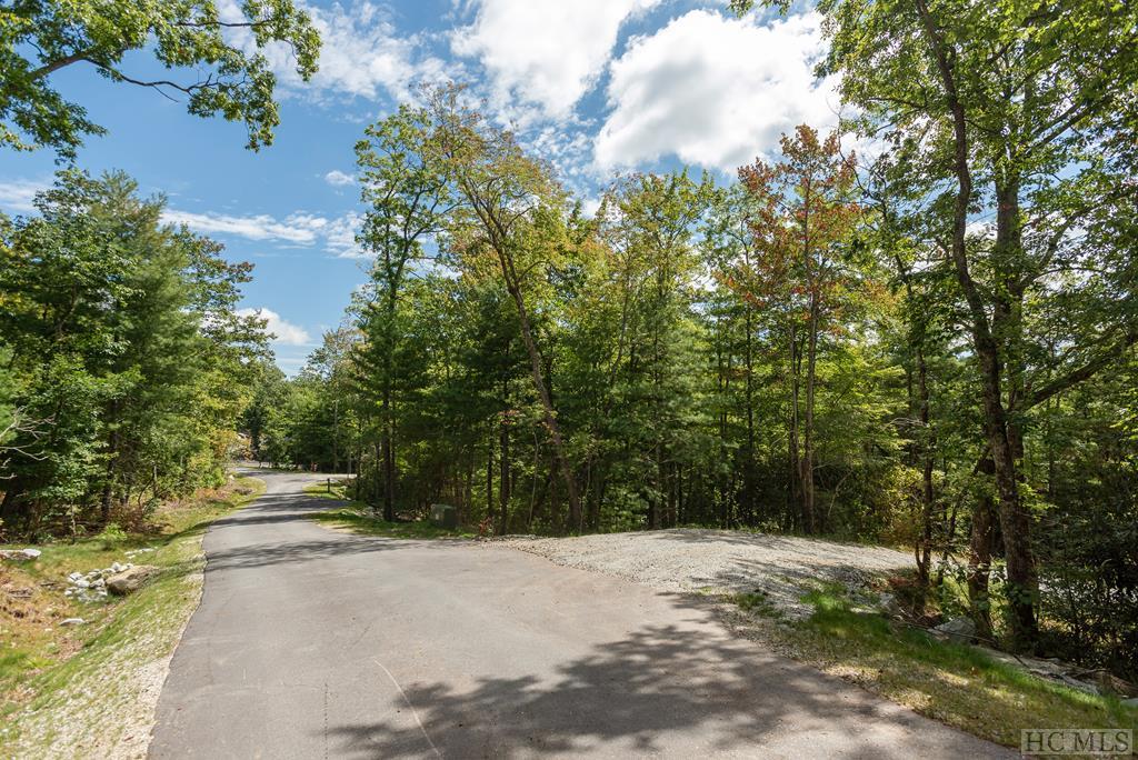 Lot V1 East Ridge Road Sapphire, NC 28774 - Photo 19 of 35 Gallery Image 19