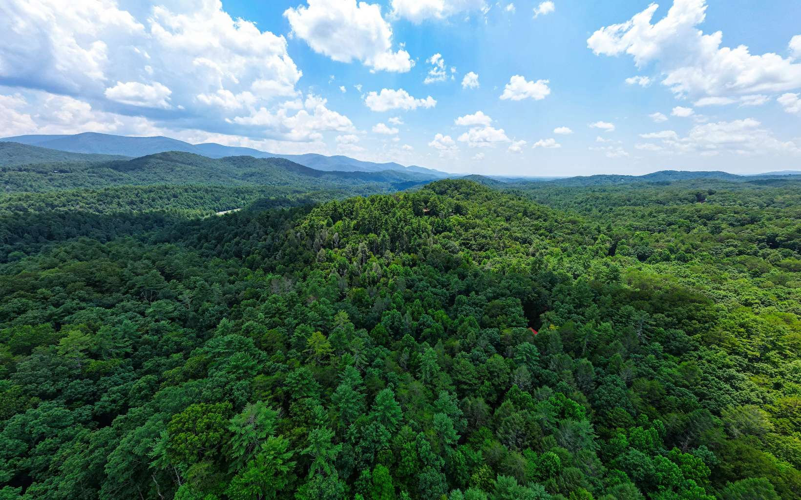 889 Joann Sisson Road Blue Ridge, GA 30513 - Photo 39 of 41 a view of a bunch of trees