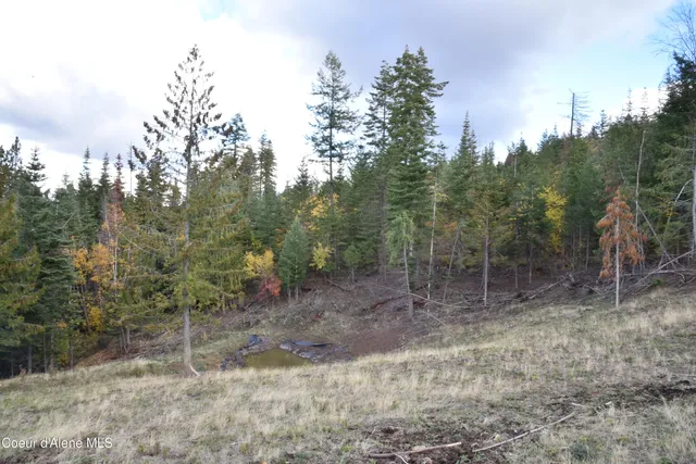 $759,000 | 391457 Highway 95, Plummer, ID 83851