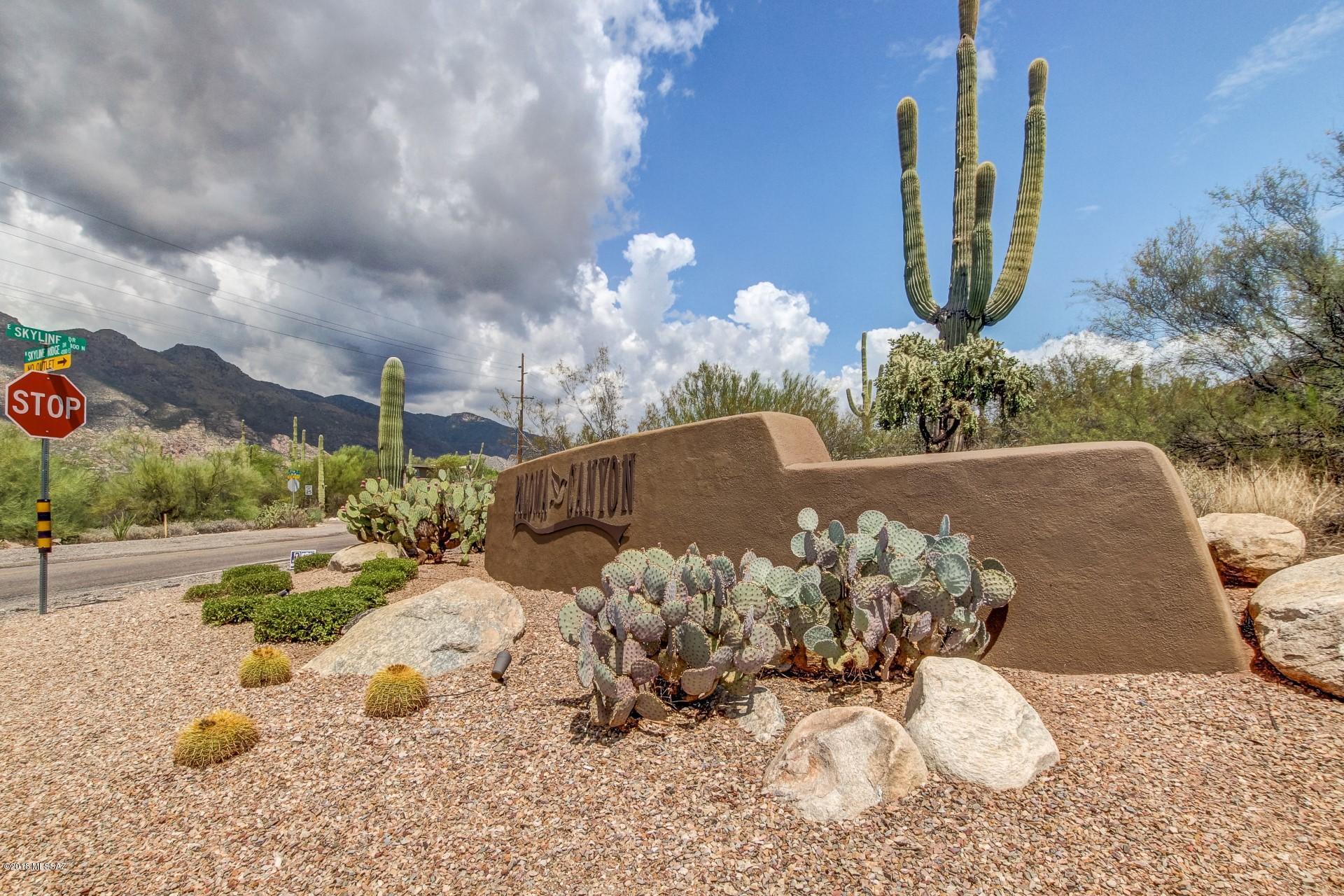 4374 East Pinnacle Ridge Place Tucson, AZ 85718 - Photo 38 of 41 Gallery Image 38
