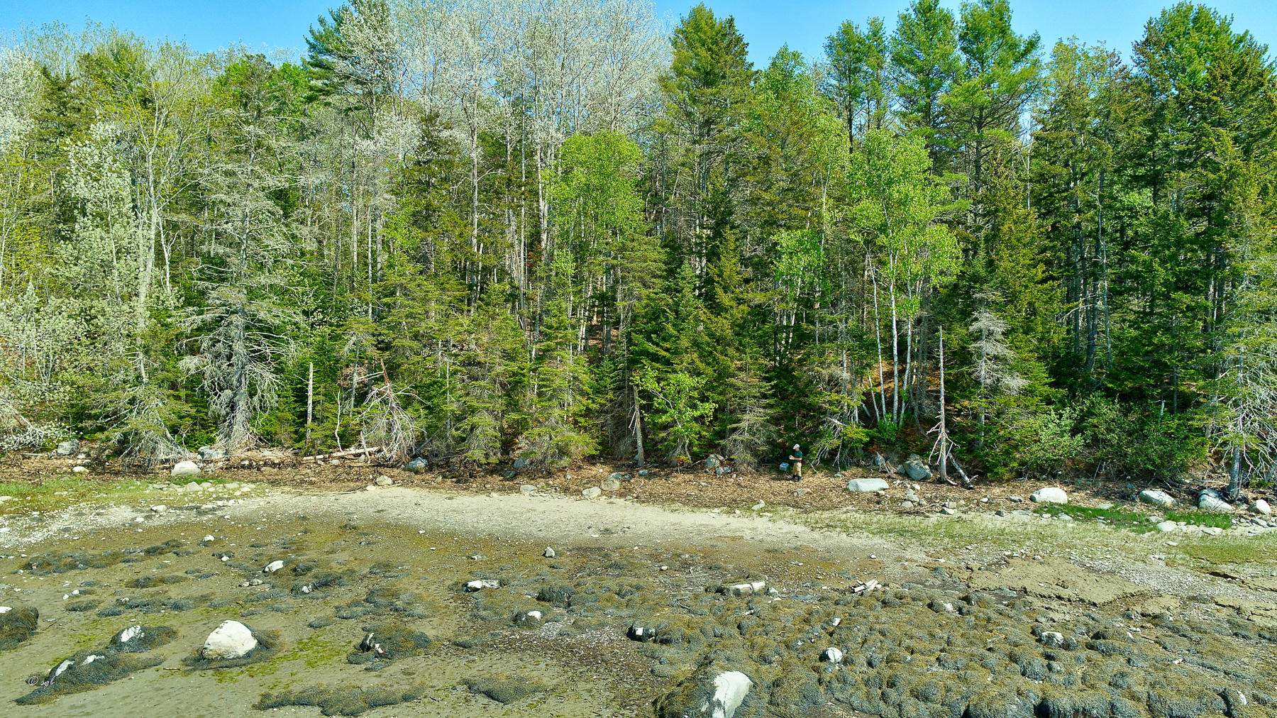Tbd Frank's Flat Sedgwick, ME 04676 - Photo 40 of 54 Franks Flat Land Drone 13