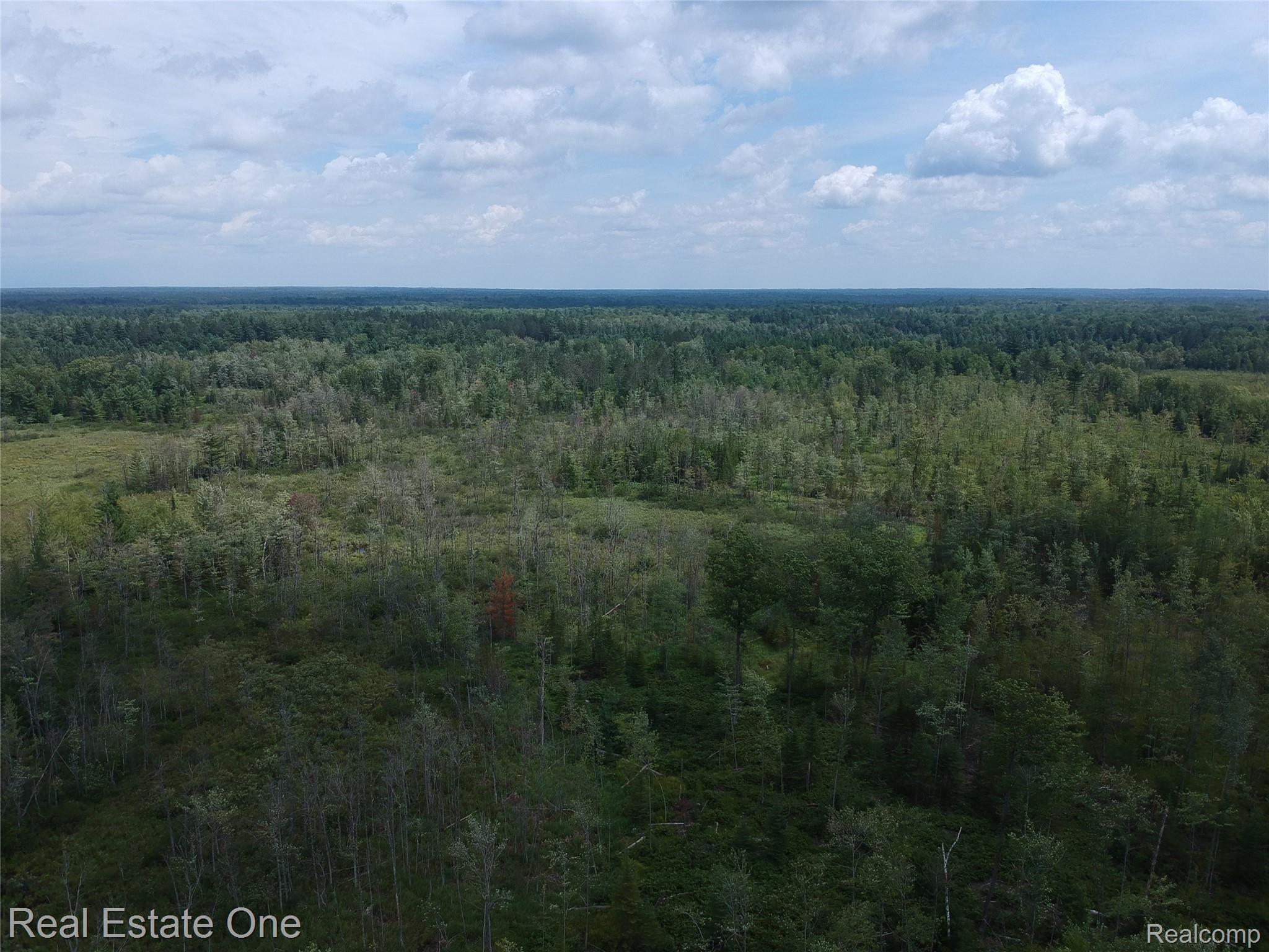 0 South Morrison Road Alger, MI 48610 - Photo 21 of 38 DJI-3455.jpg