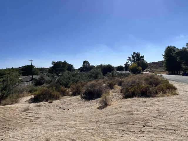 a view of a dry yard