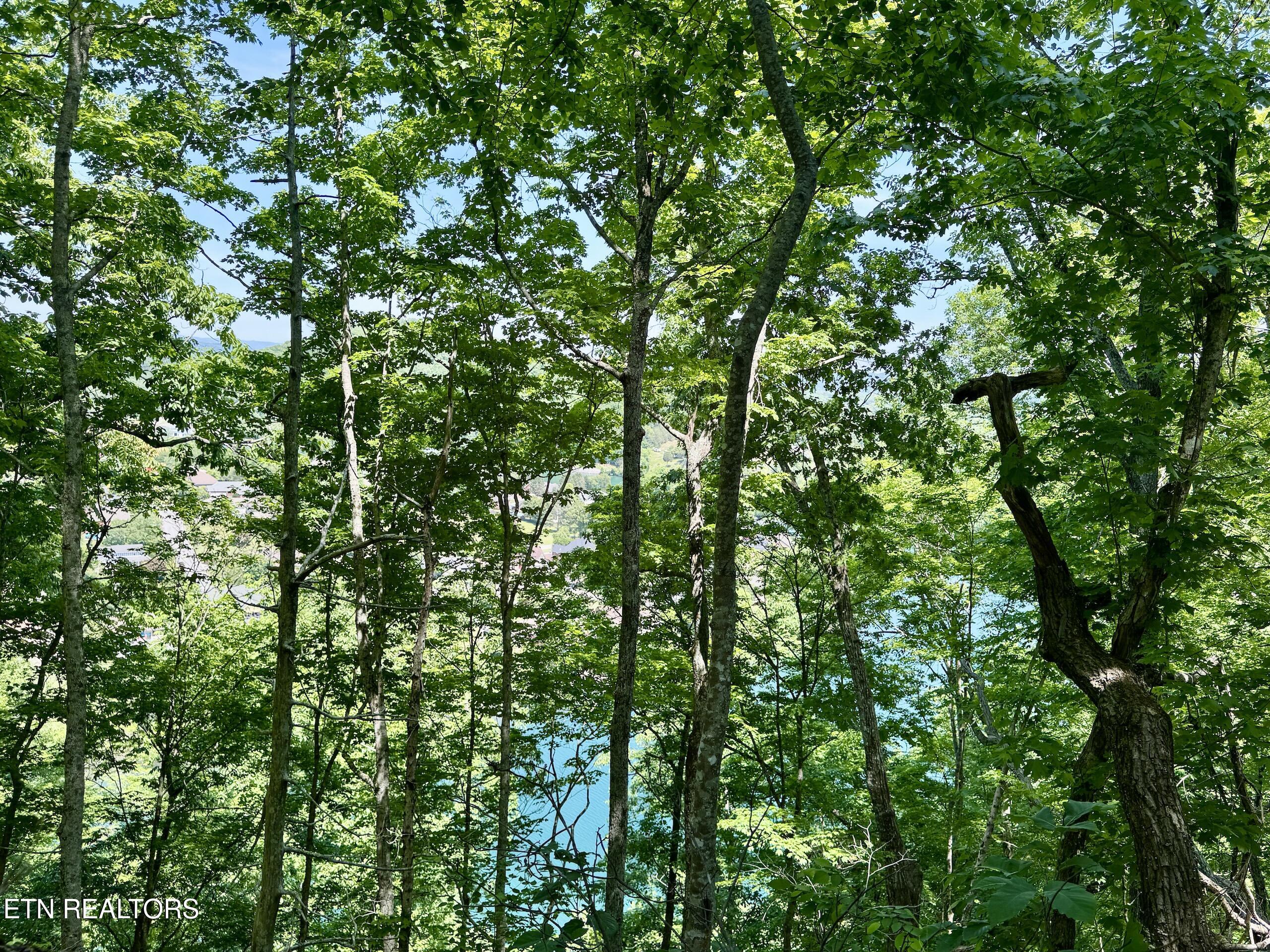 Ridgeview Drive Clinton, TN 37716 - Photo 13 of 15 2-13