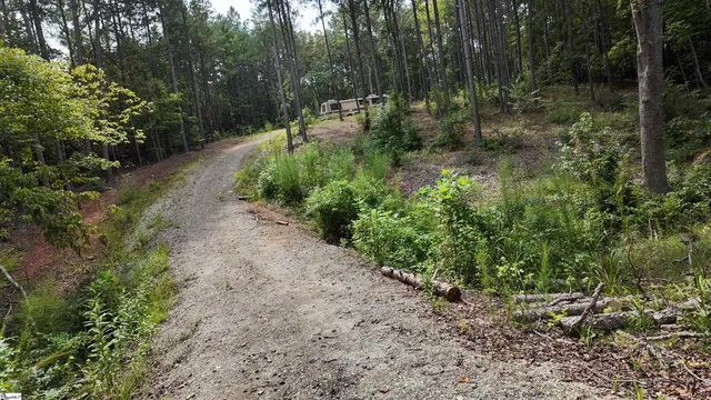 $40,000 | 0 Old Georgia Highway, Cowpens, SC 29330