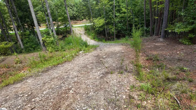 $40,000 | 0 Old Georgia Highway, Cowpens, SC 29330