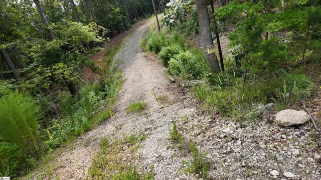 $40,000 | 0 Old Georgia Highway, Cowpens, SC 29330