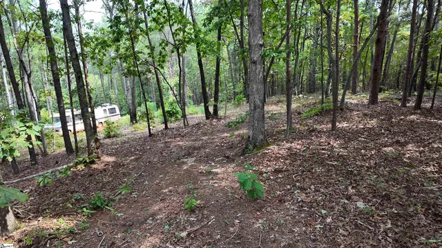 $40,000 | 0 Old Georgia Highway, Cowpens, SC 29330