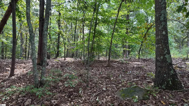 $40,000 | 0 Old Georgia Highway, Cowpens, SC 29330