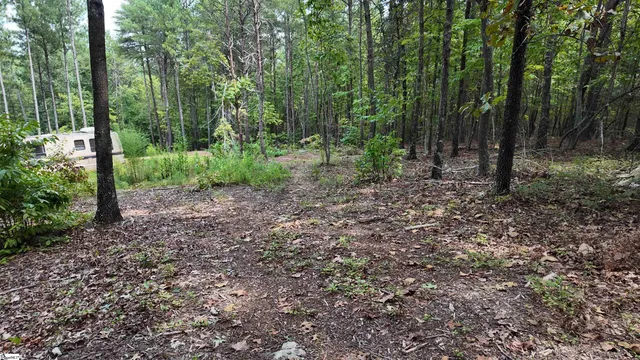 $40,000 | 0 Old Georgia Highway, Cowpens, SC 29330