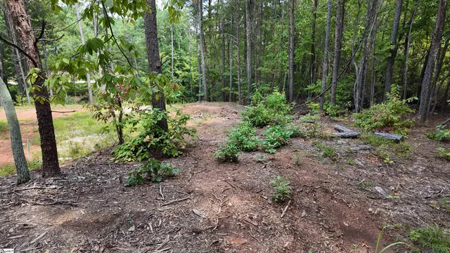 $40,000 | 0 Old Georgia Highway, Cowpens, SC 29330