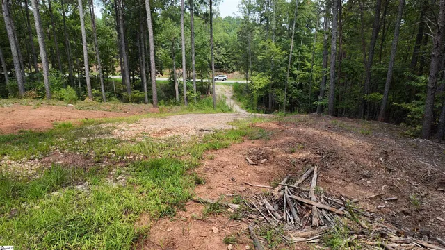 $40,000 | 0 Old Georgia Highway, Cowpens, SC 29330