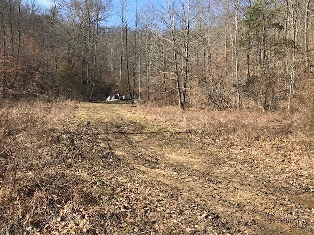 500 Daniel Morrison Road Frenchburg, KY 40322 - Photo 2 of 17 Photo 2