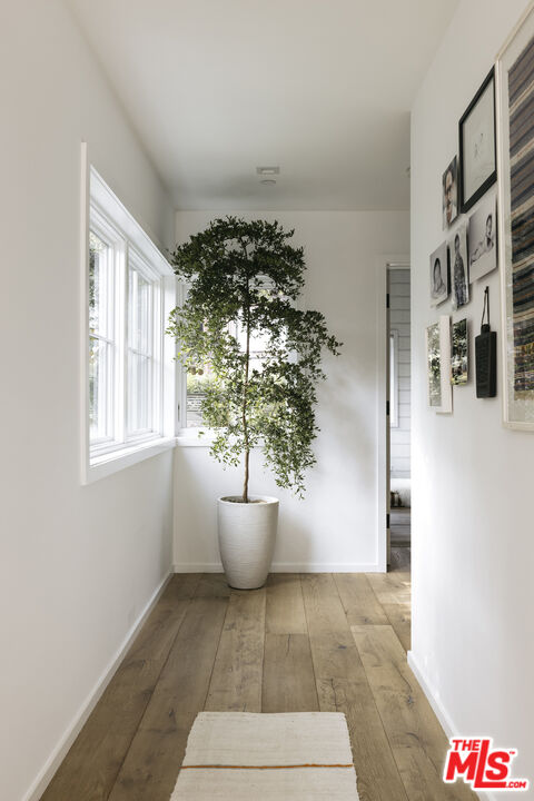 461 West Rustic Road Santa Monica, CA 90402 - Photo 17 of 31 a view of a room that has a window and potted plants