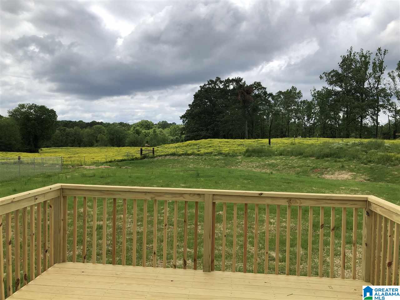 189 Grants Road Ohatchee, AL 36271 - Photo 17 of 20 Gallery Image 17