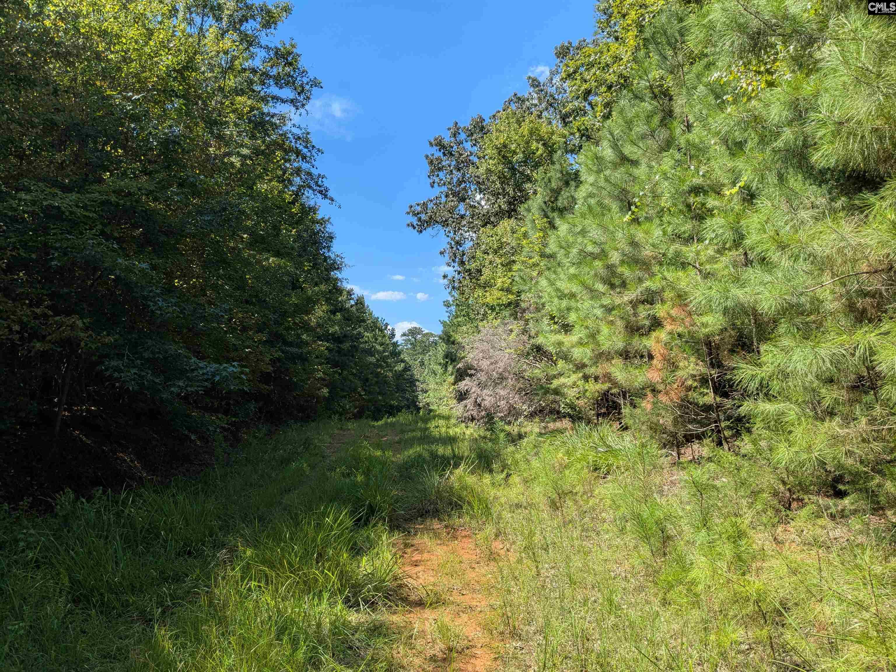 0 Taylor Road Batesburg, SC 29006 - Photo 15 of 20