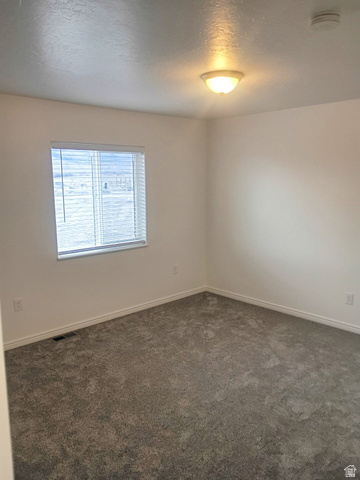 1510 South Lawrence Road Huntington, UT 84528 - Photo 10 of 16 Neutral wall paint featuring a window with horizontal blinds, a ceiling-mounted light fixture, and plush carpeting