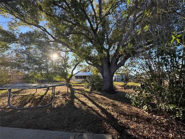 a view of a tree in front of a house