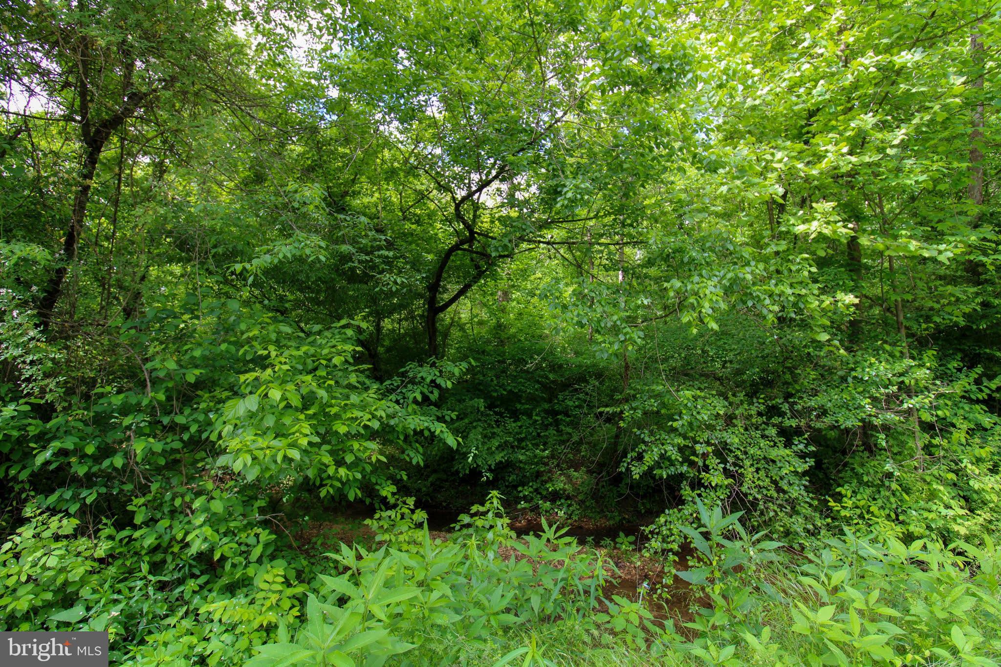 Tbd Cross Stitch Road, Unit 2E Dry Fork, VA 24549 - Photo 10 of 12