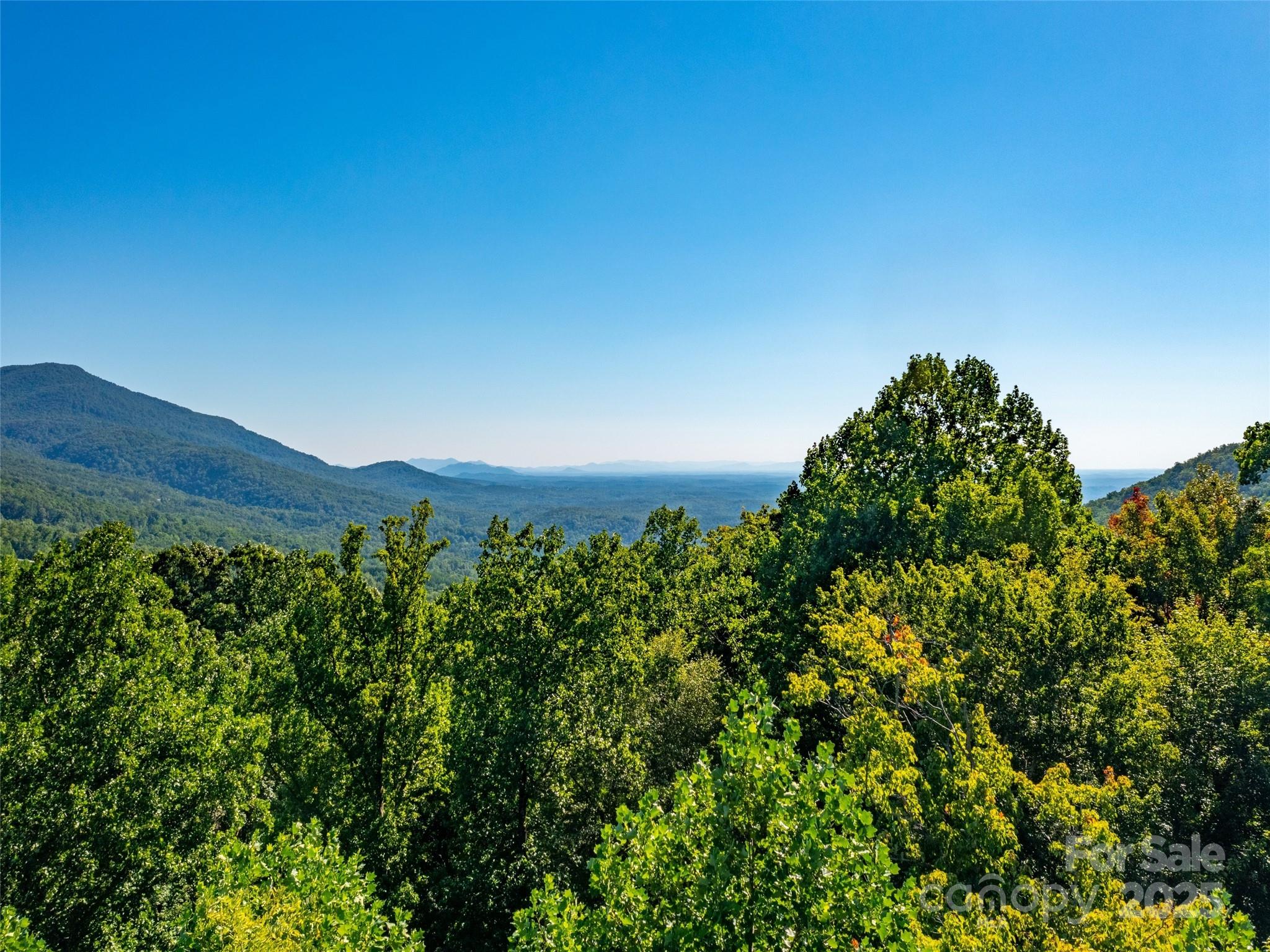 2140 Harm Creek Loop Mill Spring Mill Spring, NC 28756 - Photo 17 of 29 a view of a yard with a tree
