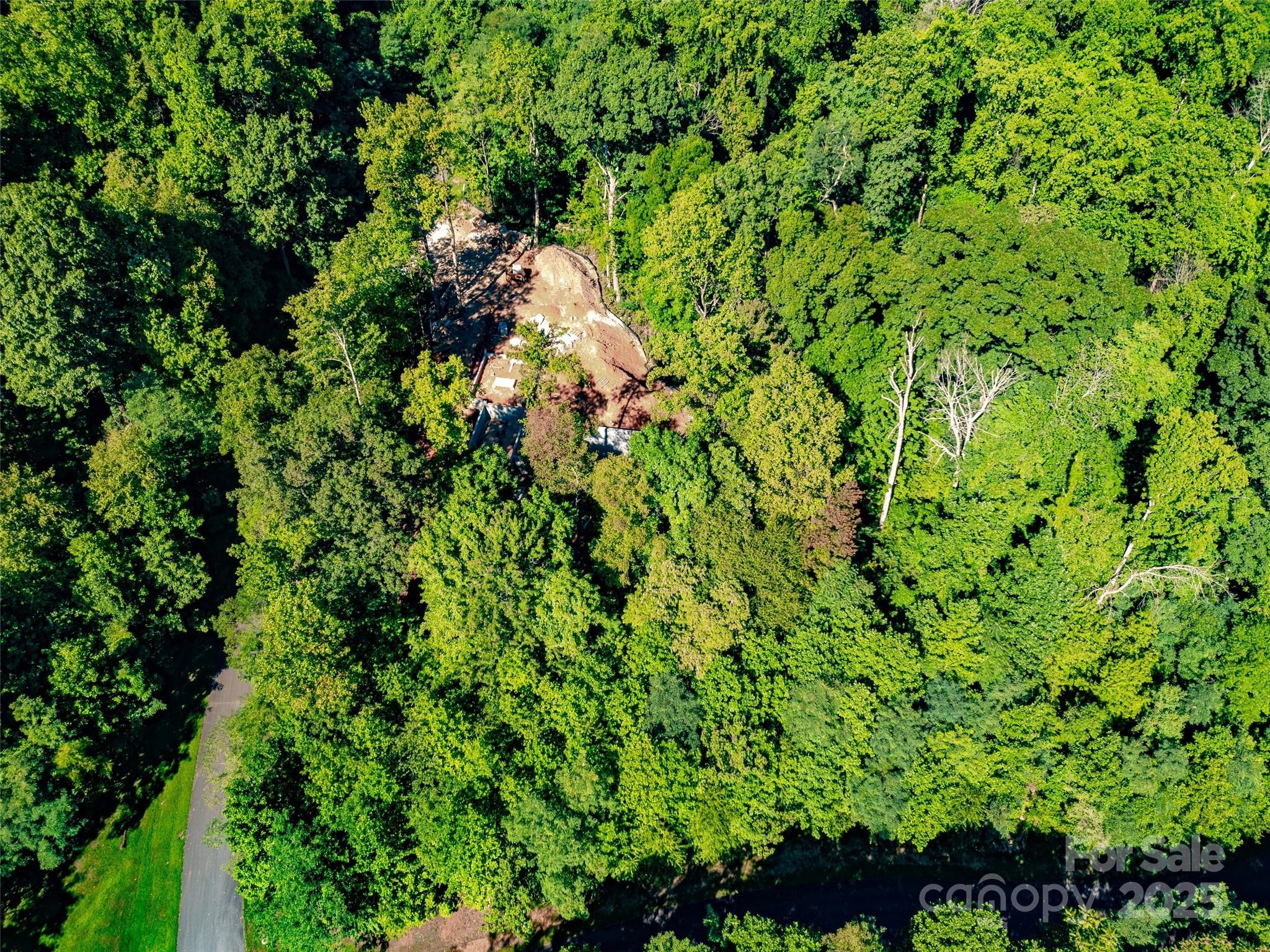 2140 Harm Creek Loop Mill Spring Mill Spring, NC 28756 - Photo 19 of 29 a view of a lush green forest with lots of trees