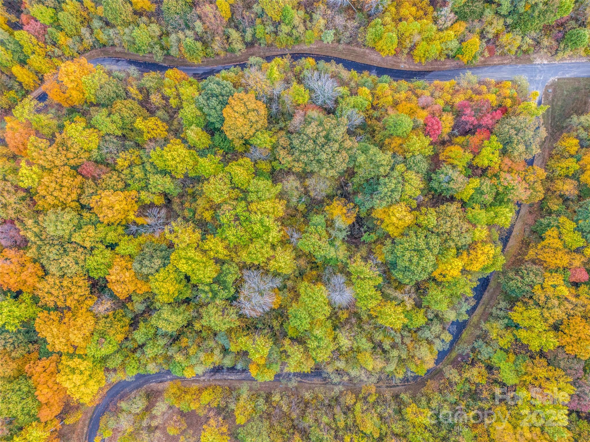 2140 Harm Creek Loop Mill Spring Mill Spring, NC 28756 - Photo 23 of 29