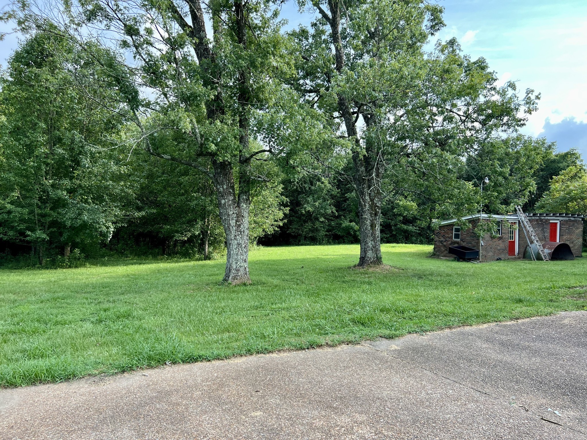 250 Chipman Road Bethpage, TN 37022 - Photo 11 of 32 a view of a trees with a yard