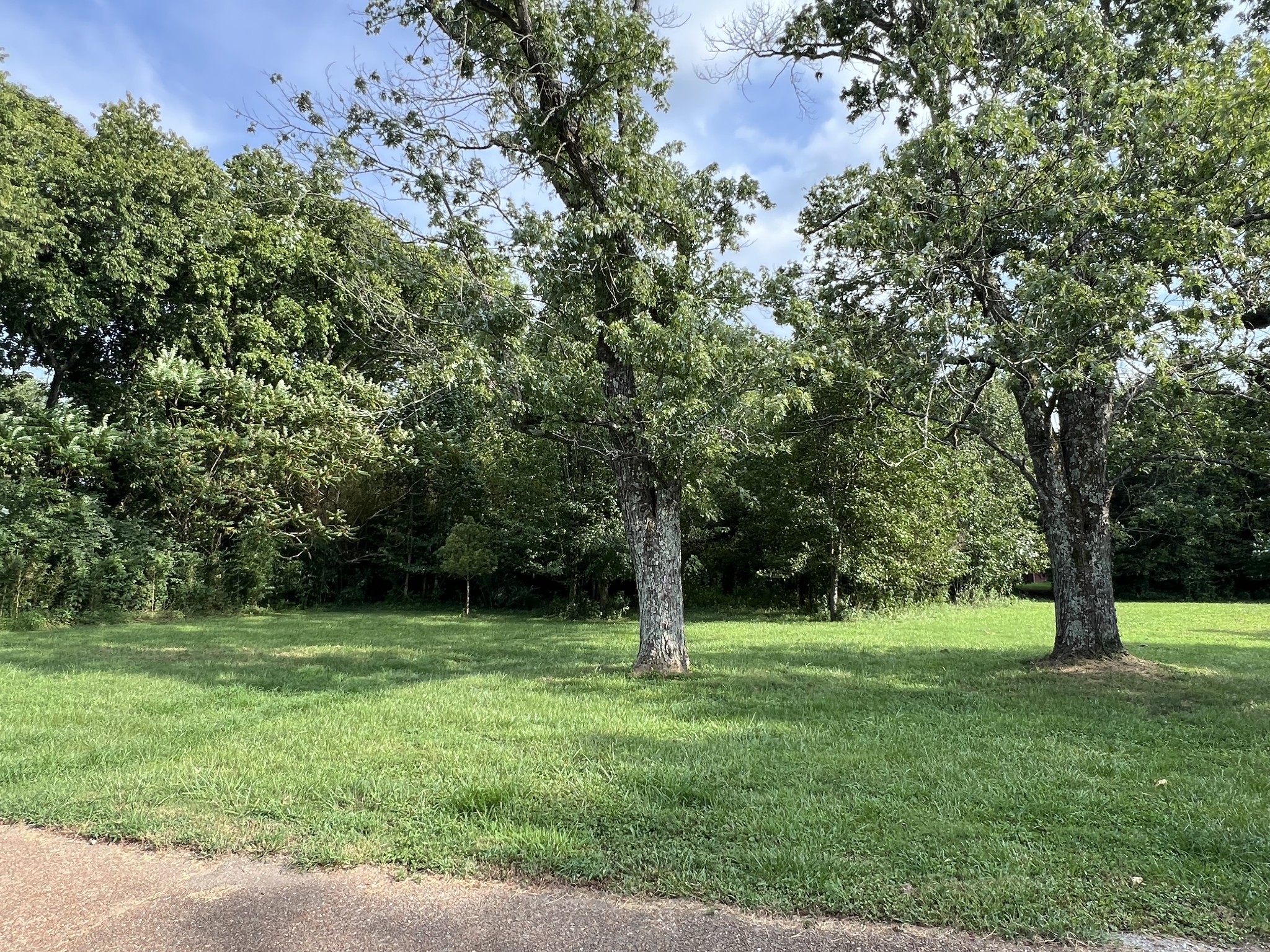 250 Chipman Road Bethpage, TN 37022 - Photo 17 of 32 a backyard of a house with lots of green space