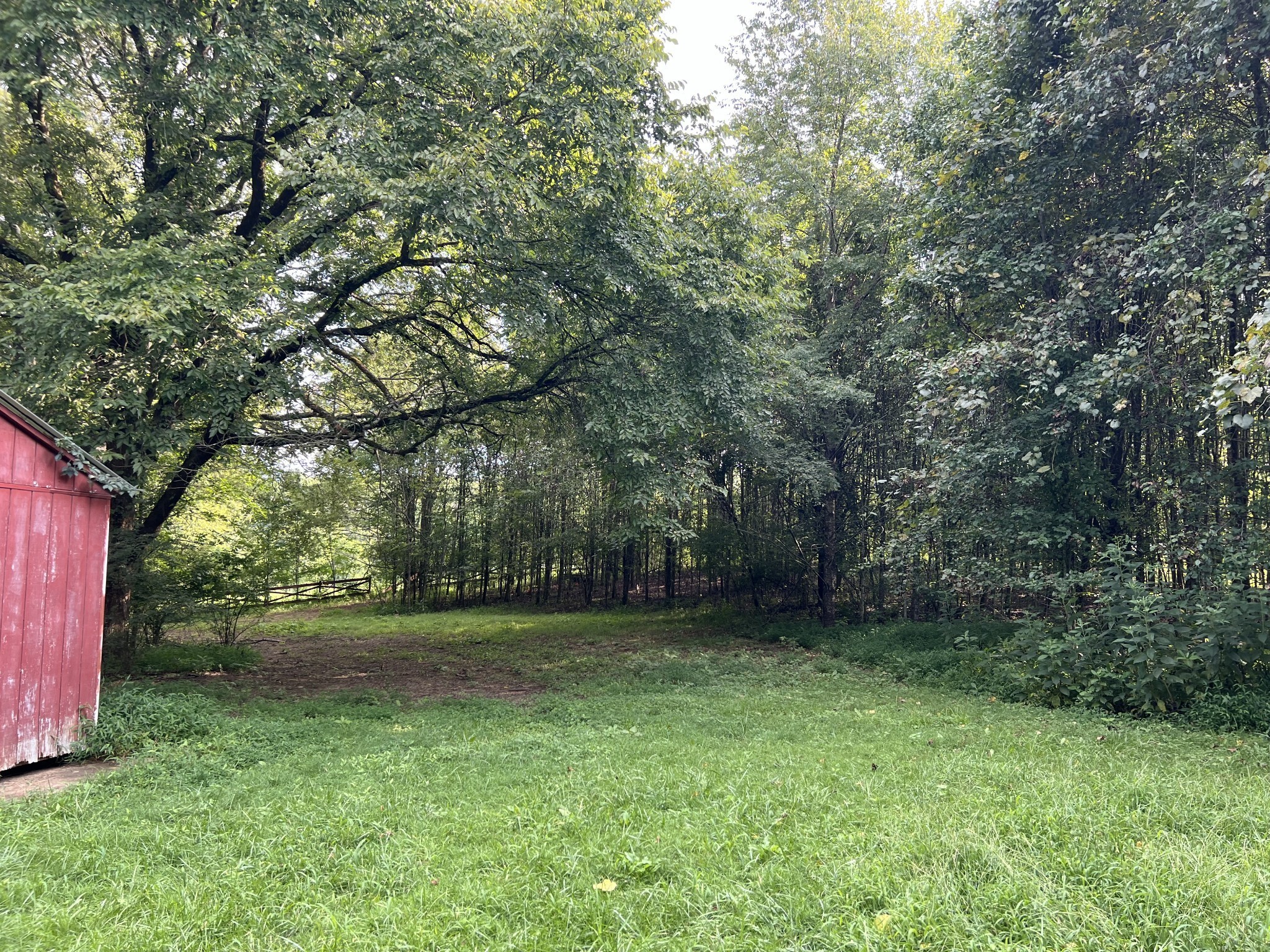 250 Chipman Road Bethpage, TN 37022 - Photo 19 of 32 a view of a yard with a tree