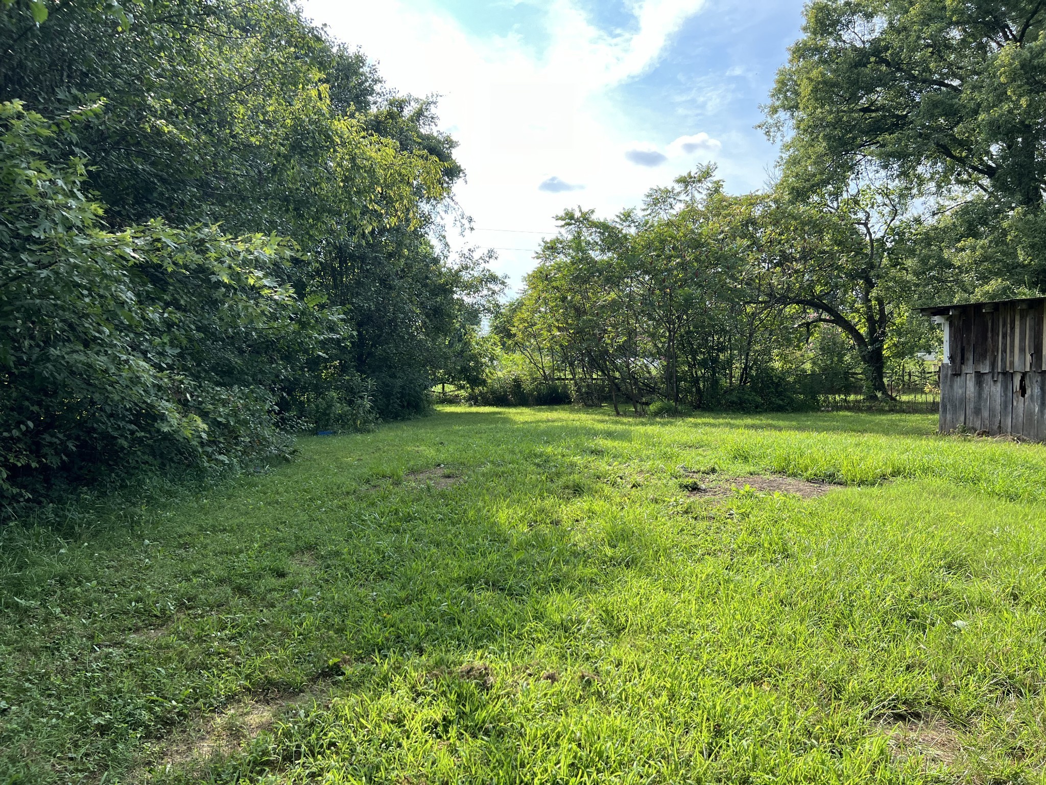 250 Chipman Road Bethpage, TN 37022 - Photo 24 of 32 a view of a garden