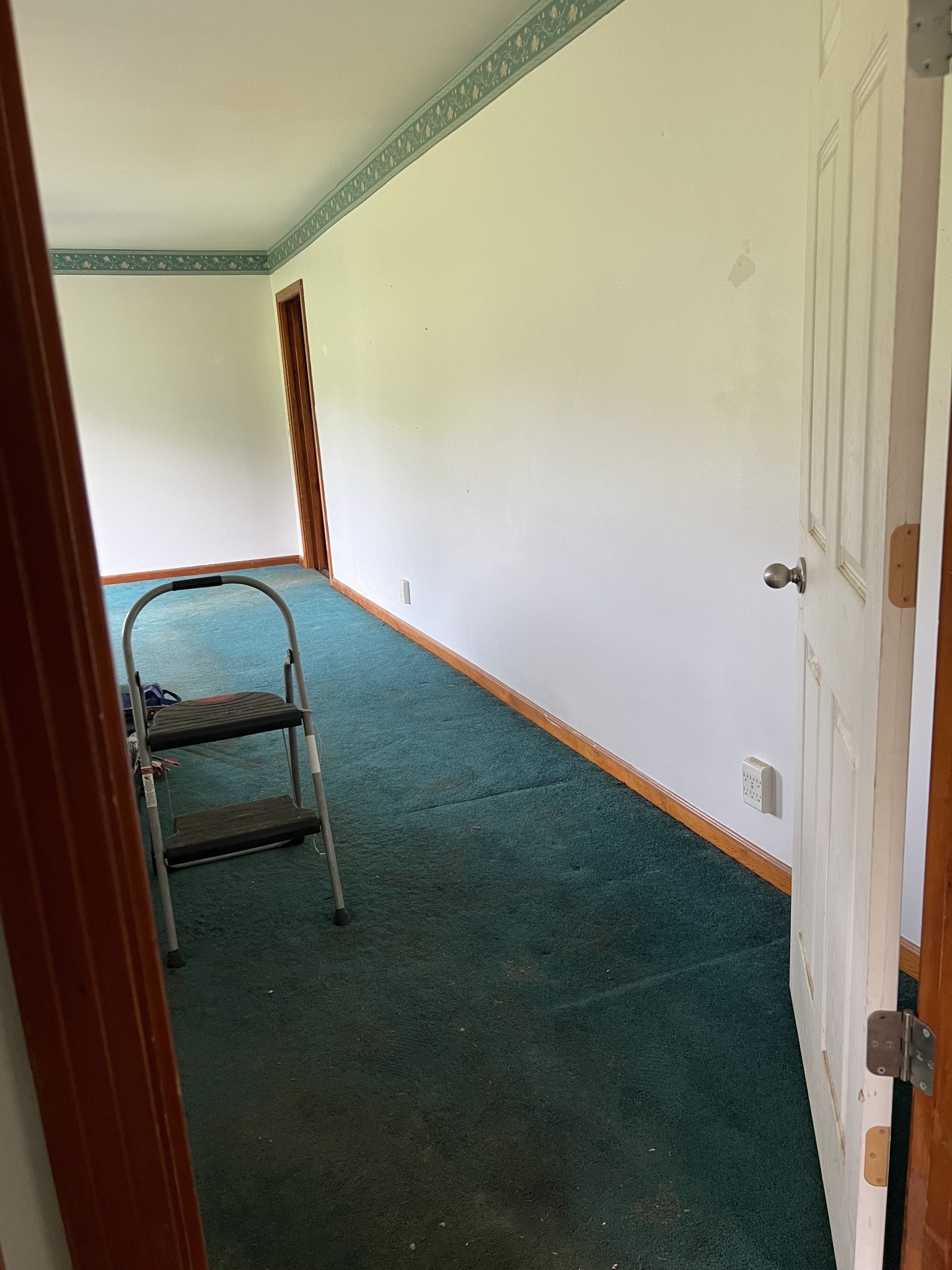 250 Chipman Road Bethpage, TN 37022 - Photo 6 of 32 a room with a window