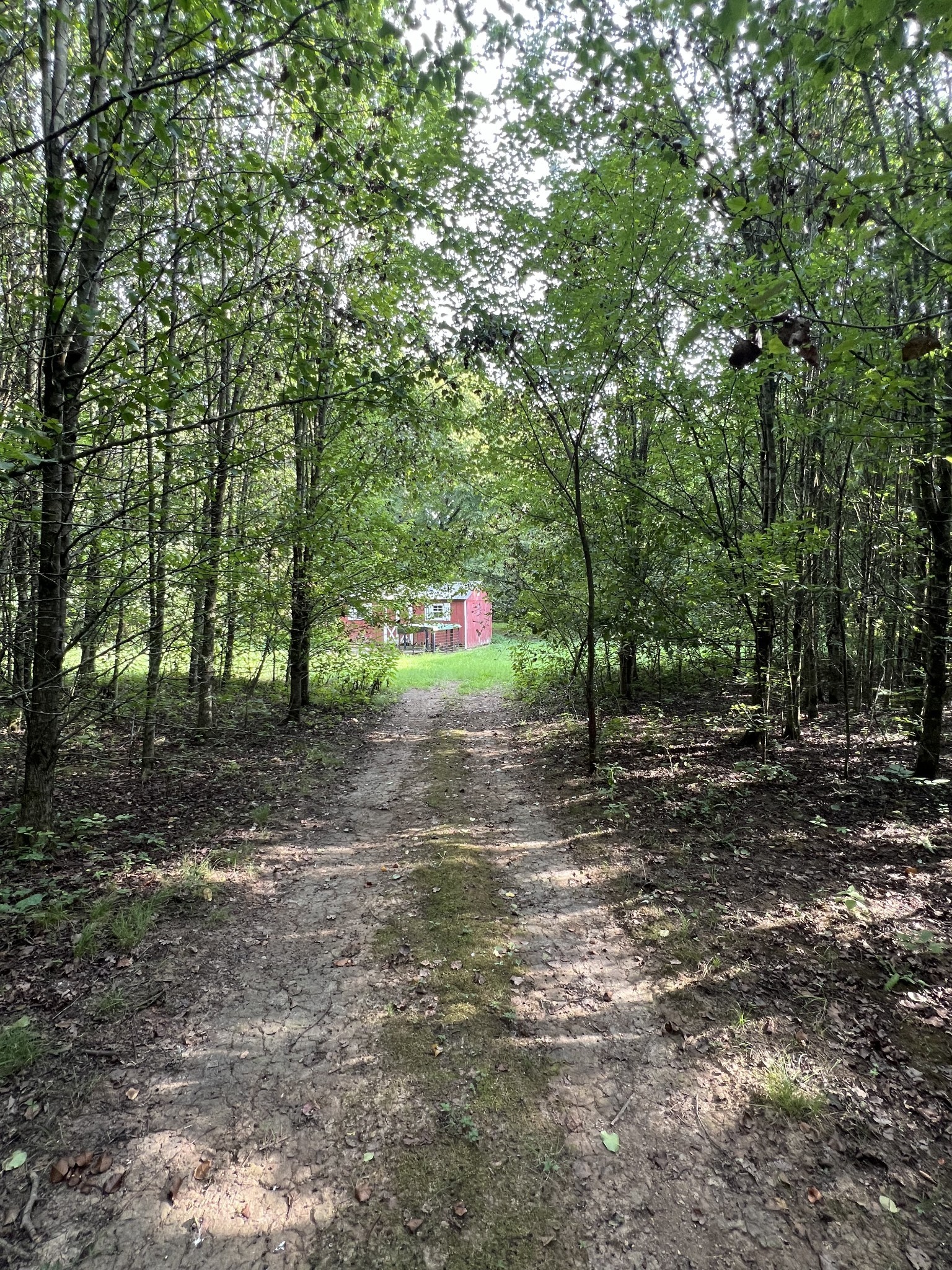 250 Chipman Road Bethpage, TN 37022 - Photo 9 of 32 a view of a forest with trees