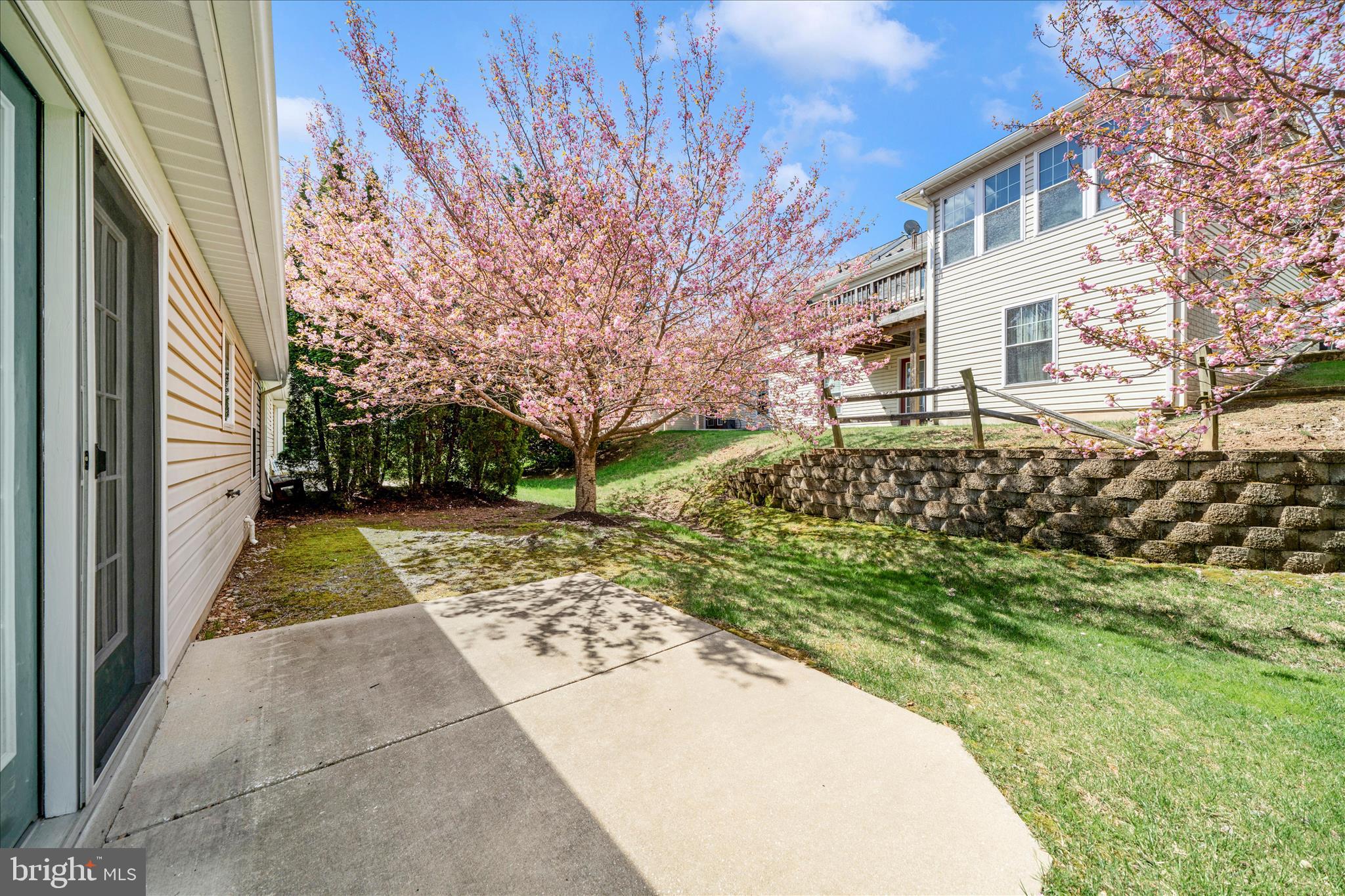 908 Roller Coaster Court Mount Airy, MD 21771 - Photo 43 of 69 a view of yard along with trees