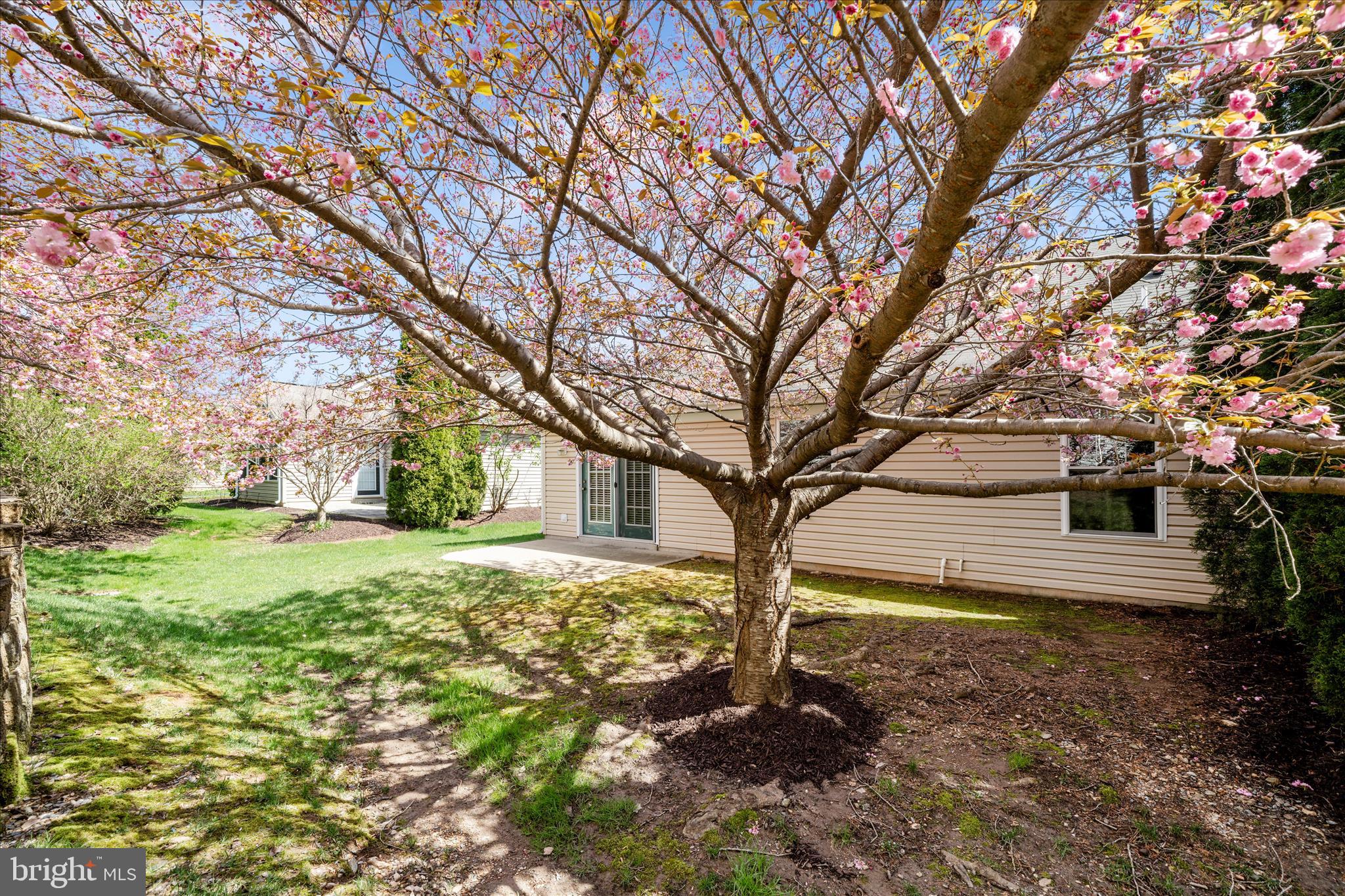 908 Roller Coaster Court Mount Airy, MD 21771 - Photo 47 of 69 Rear Yard